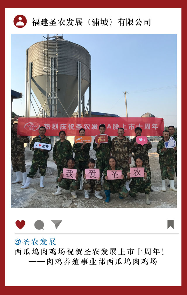 澳门原料1688茄子